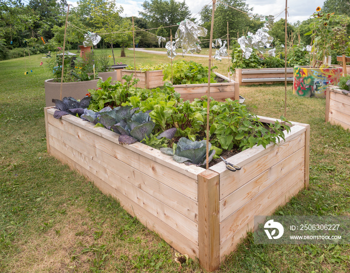 Raised beds in Community Garden