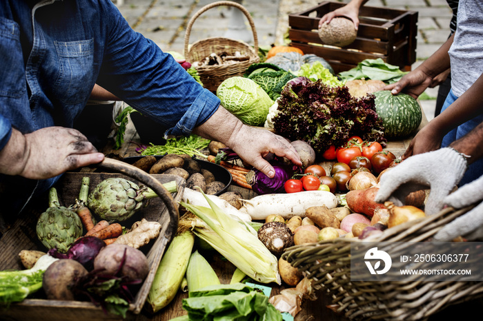 Closeup of hand buying fresh organic vegetable at market