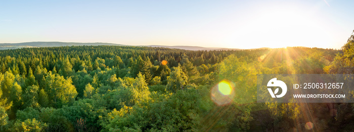 Panoramic view to summer czech forest landscape at sunset. Nature reserve Krusne, ore mountains