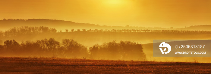 Beautiful foggy landscape in panorma view in the morning hours