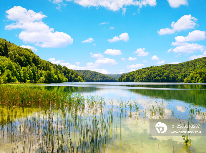 克罗地亚普利特维斯湖国家公园的美丽景观。