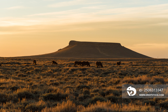 Wild Horse Scenic Loop near Rock Springs, Wyoming	