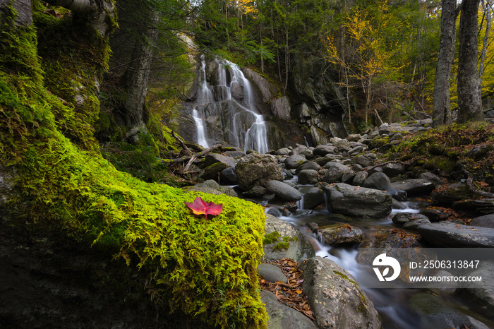 Red leaf on green moss with Moss Glen Falls in the background in Vermont 