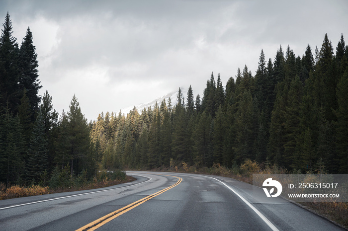 Road trip on highway road with sunlight on pine forest in overcast at Banff national park