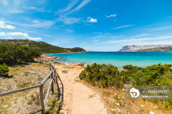 dirt path to the beach in Capo Coda Cavallo