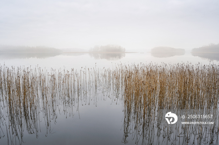 Foggy landscape with calm lake. Mist over water. Foggy air. Early chilly morning in autumn. Beautifu