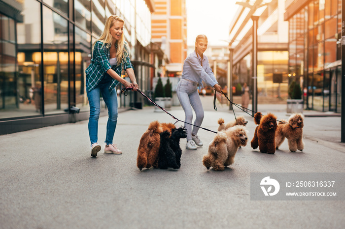 母女俩在城市街道上和他们的贵宾犬一起散步。