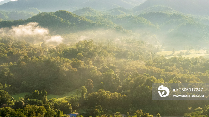 美丽的山地景观多雾的多风山脉绿色景观亚洲农场。令人惊叹的景观