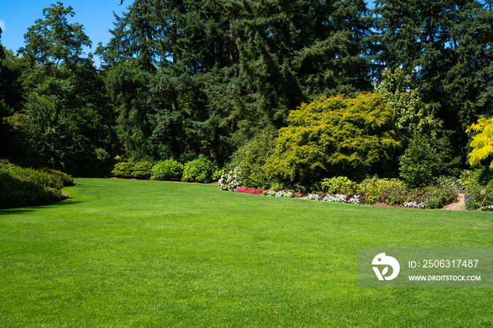 Beautiful trees and green grass in the garden. lawn in the garden.