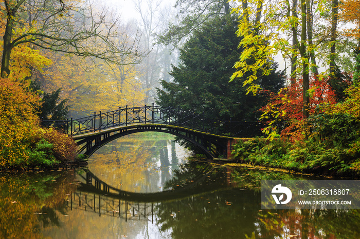 朦胧的秋日景观，花园里有美丽的老桥，枫叶红