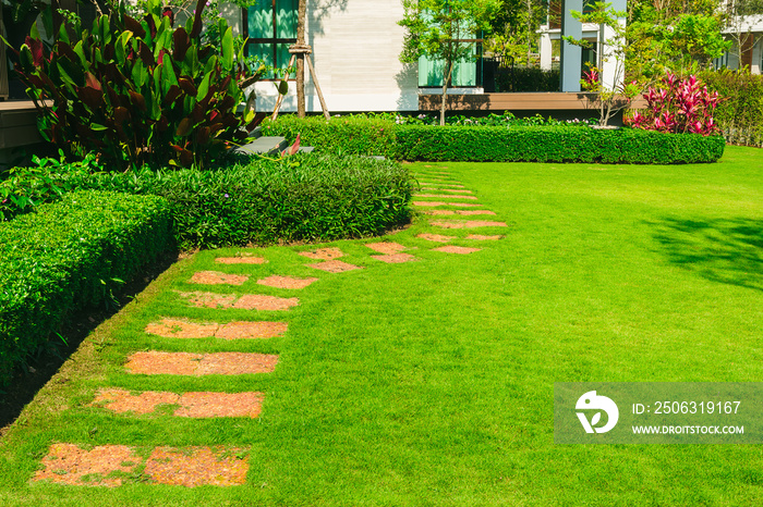 花园中的小路，砖砌小路的绿色草坪，花园景观设计。正式景观，弗罗