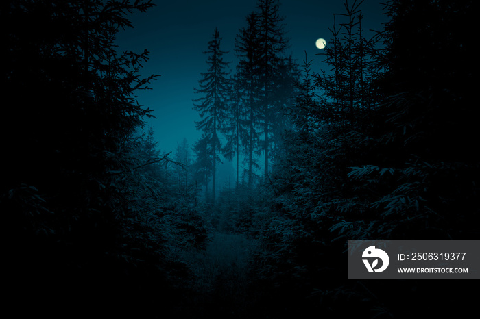 满月穿过魔法神秘夜森林中的云杉树。万圣节背景。