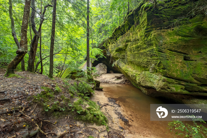 Dismals Canyon, Alabama