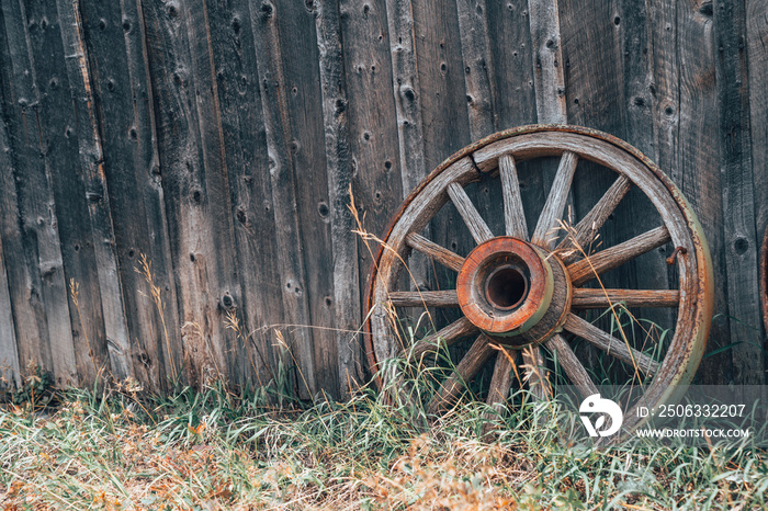 One rusty wagon wheels against a wooden wall, with grass. Useful for rustic backgrounds