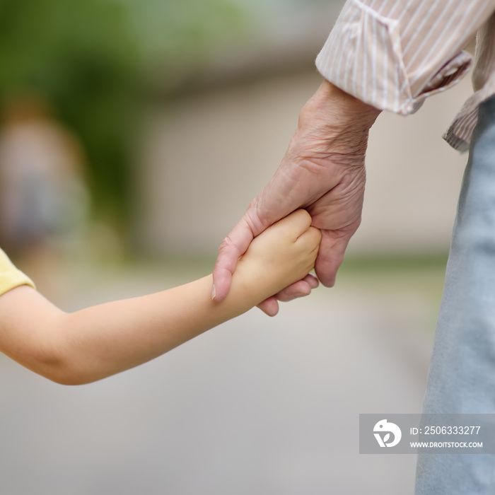 美丽的奶奶和她的小孙子一起在公园里散步