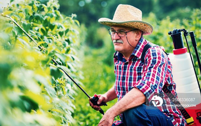 Orcharding. Farmer working in the garden with a plants. Agricultural concept