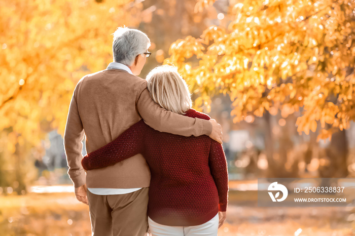 Cute elderly couple walking in autumn park