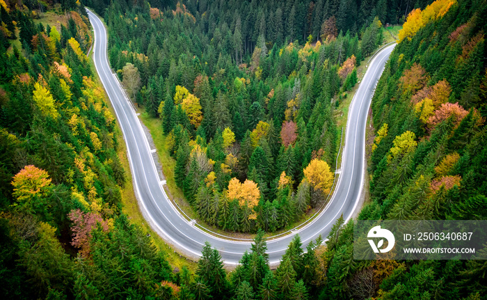 Asphalted road in the autumn mountain forest.