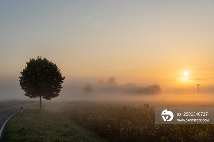 Sonnenaufgang im Sommer 