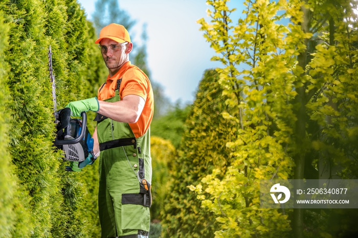 Gardener Green Wall Trimming