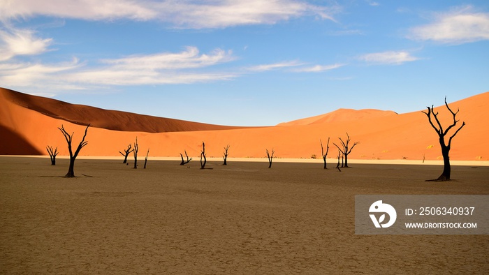 Namib desert