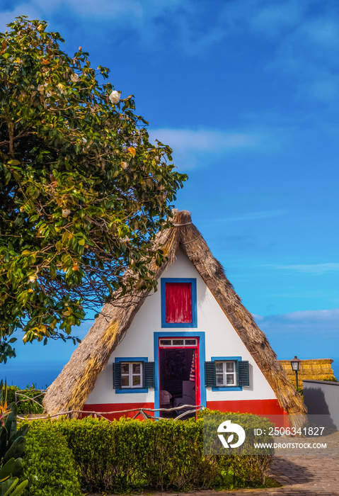 葡萄牙马德拉岛Santana村的传统三角屋（垂直摄影）