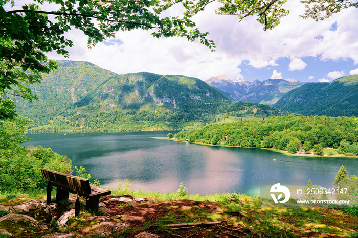 斯洛文尼亚博欣日湖的长椅。斯洛文尼亚的自然。绿色森林和蓝色海水的美景。