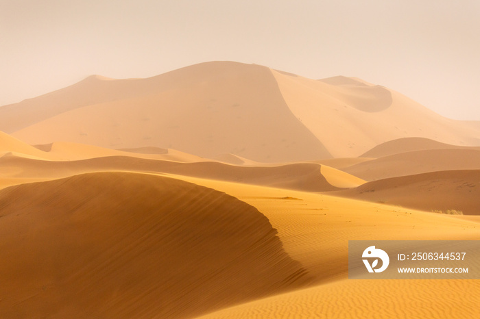 日出时线条和色彩美丽的撒哈拉沙漠。摩洛哥默佐加