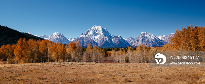 Oxbow Bend viewpoint on panorama of mt. Moran and wildlife, Grand Teton National park, Wyoming, USA