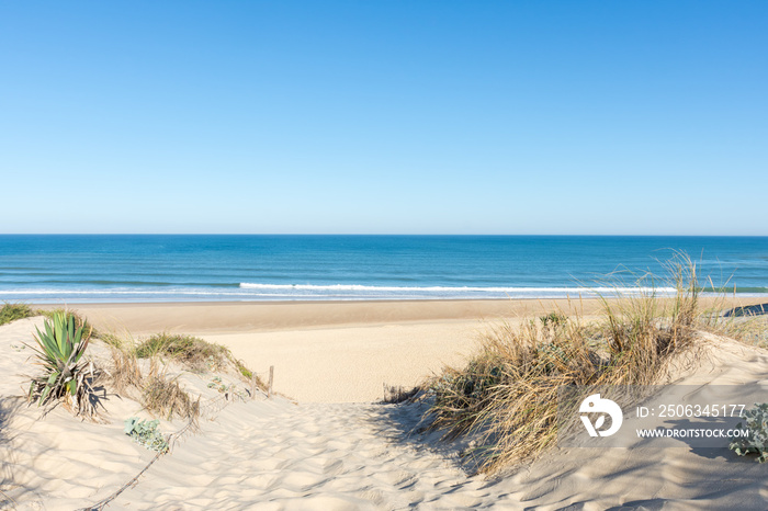 CAP FERRET (Bassin dArcachon, France), la plage de La Torchère sur lAtlantique