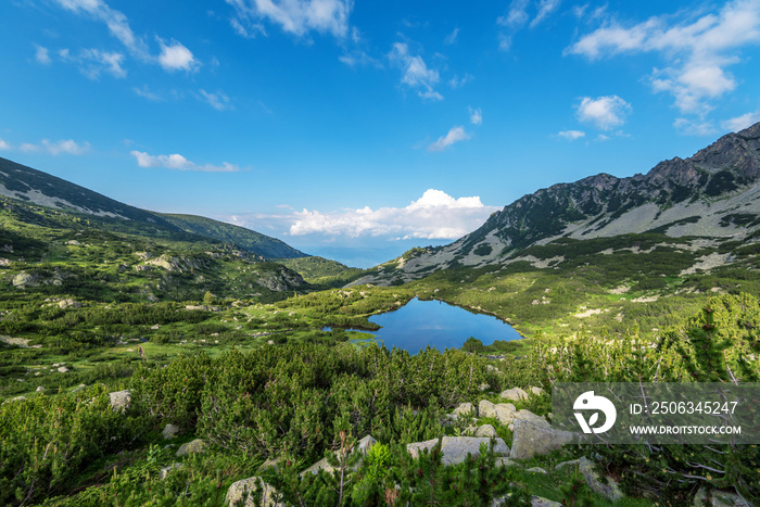 保加利亚皮林山夏季景观。