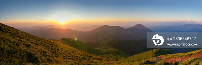 喀尔巴阡山脉美丽的日落。傍晚斜坡上盛开的杜鹃花