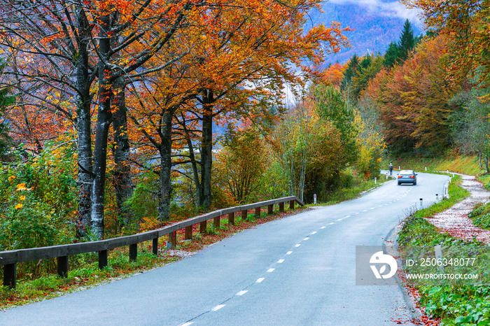 Road in the autumnal mountains in Slovenia