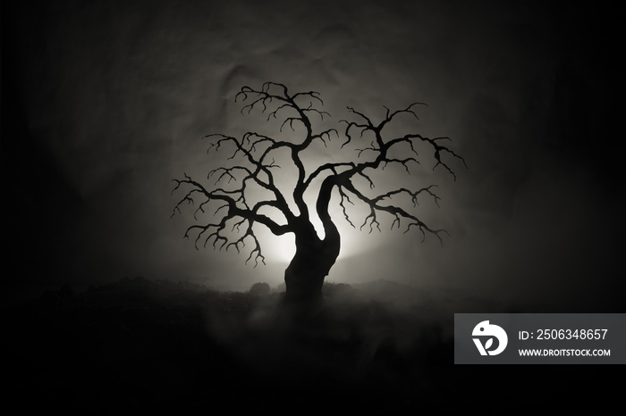 可怕的万圣节树的剪影，背景是深色雾色调，背面是月亮。