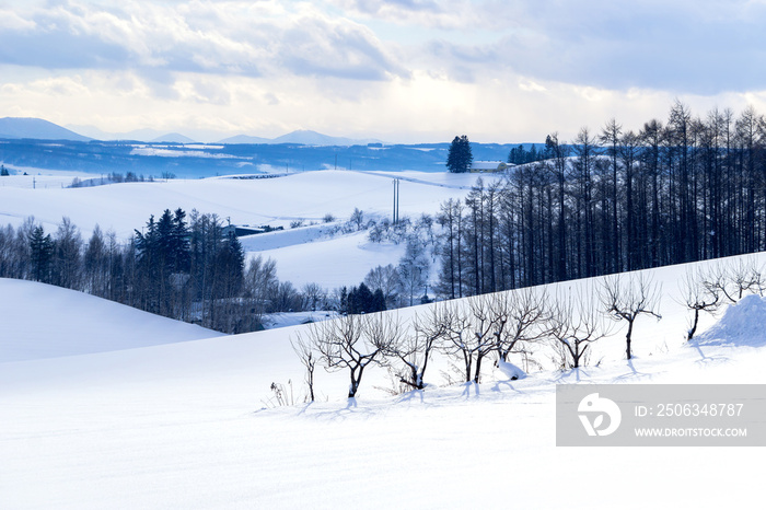 Snow plain of Biei town with small tree on winter. Hokkaido, Japan.