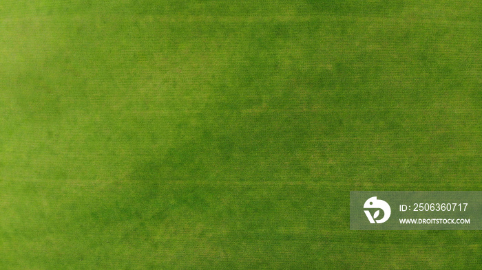 Aerial. Green grass texture background. Top view from drone.