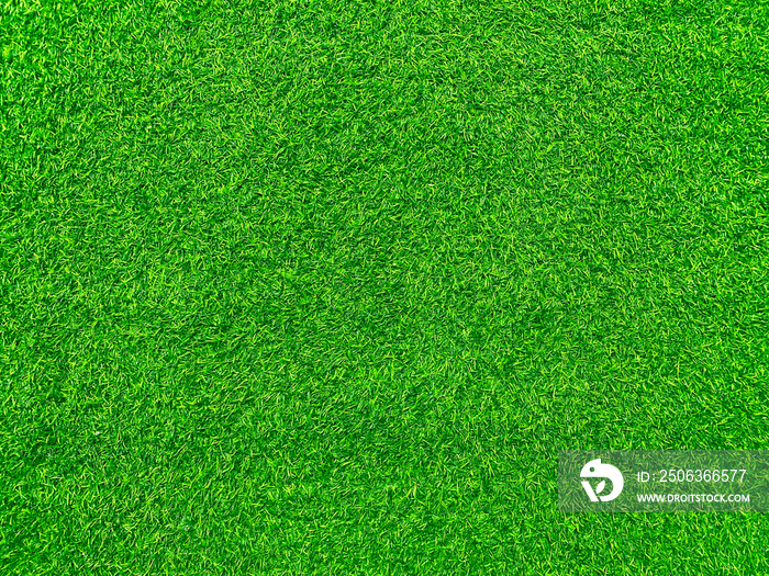 Green grass texture background grass garden concept used for making green background football pitch,