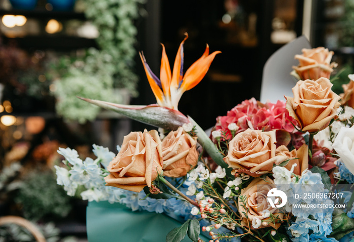 Beautiful boho bouquet of different color plants and cream roses in flower shop