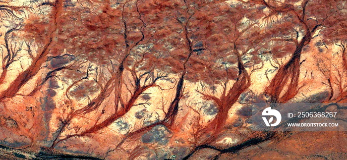 	 Forest in autumn, abstract photography of the deserts of Africa from the air. aerial view of deser