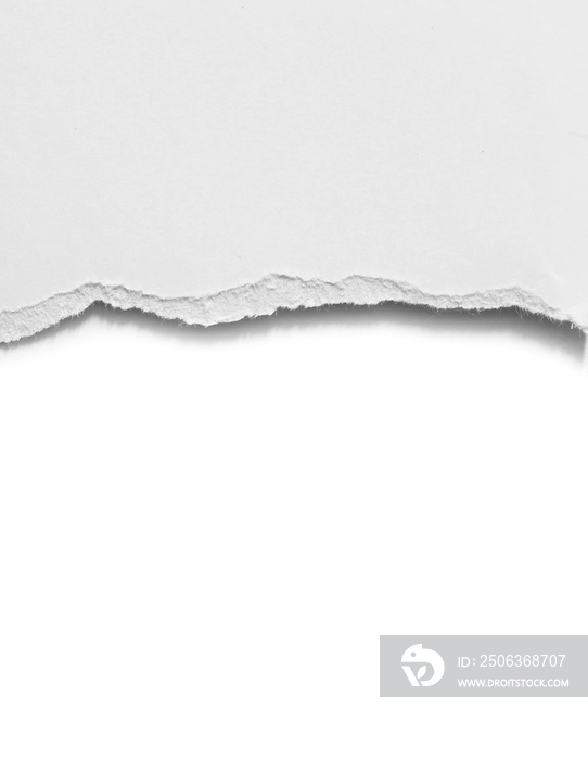 白色背景上的纸张撕裂隔离，复制空间。
