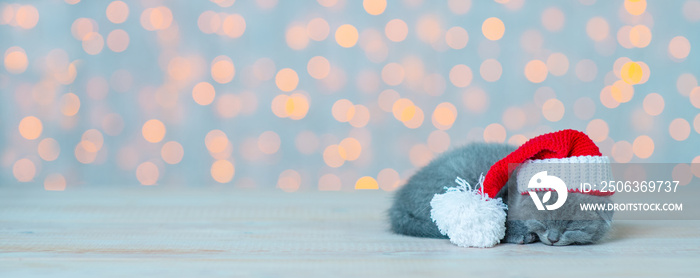 一只毛茸茸的小猫睡在木地板上，背景是圣诞彩灯。