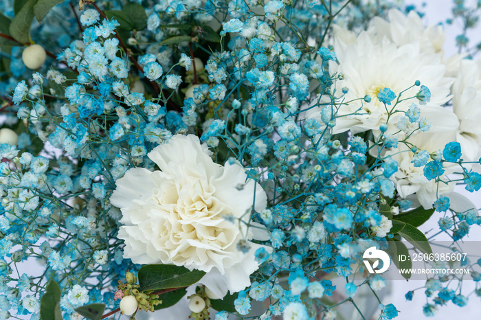 Close up of blue and white gypsophila in a bouquet. Flowers composition romantic. Selective focus