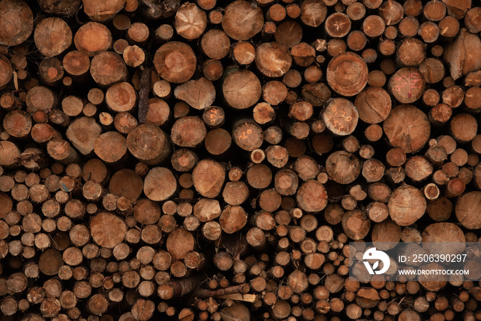 切割原木堆放在一堆中的背景。用于生产刨花板的木材