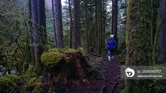 年轻的女性旅行者探索加拿大迷人的苔藓覆盖的森林。