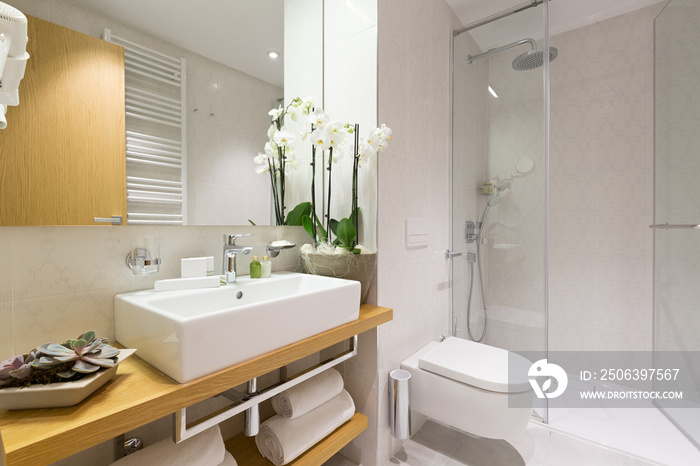 Interior of a modern hotel bathroom