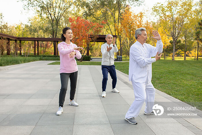 老年人在公园练太极