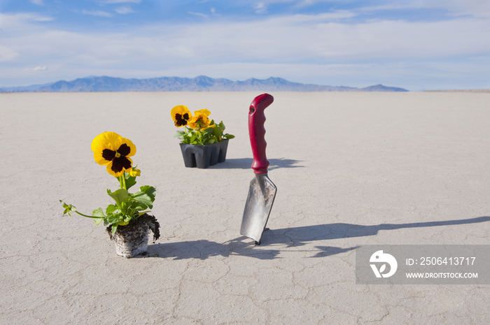 Hand Trowel and Plants