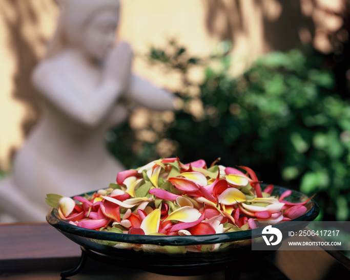 Flower petals in a bowl