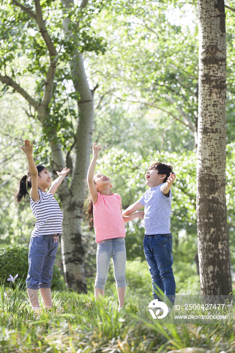儿童在树林里嬉戏玩耍