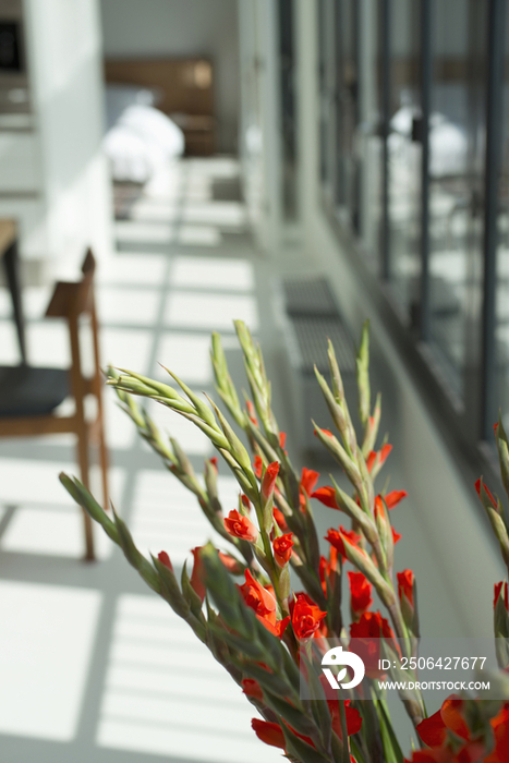 Close-up of flowers against blurred floor at home